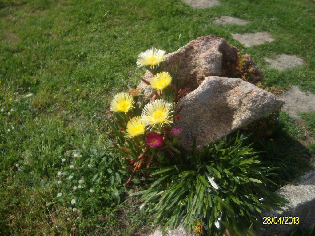 Agriturismo Spridda Bed and Breakfast Arzachena Buitenkant foto