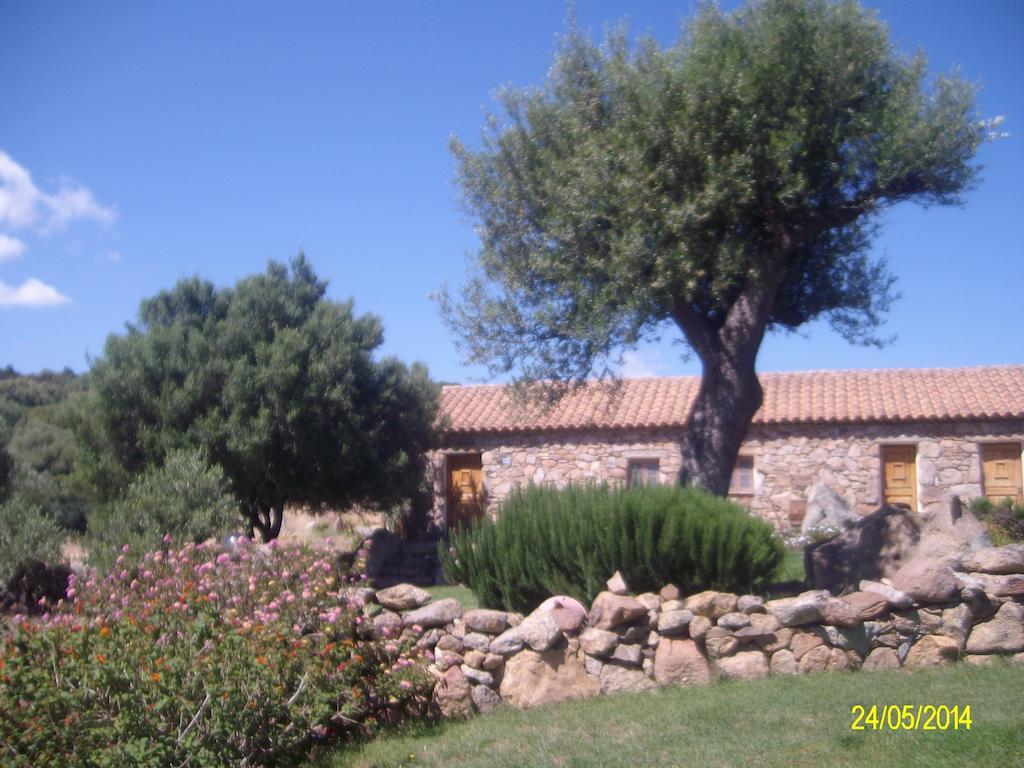 Agriturismo Spridda Bed and Breakfast Arzachena Buitenkant foto