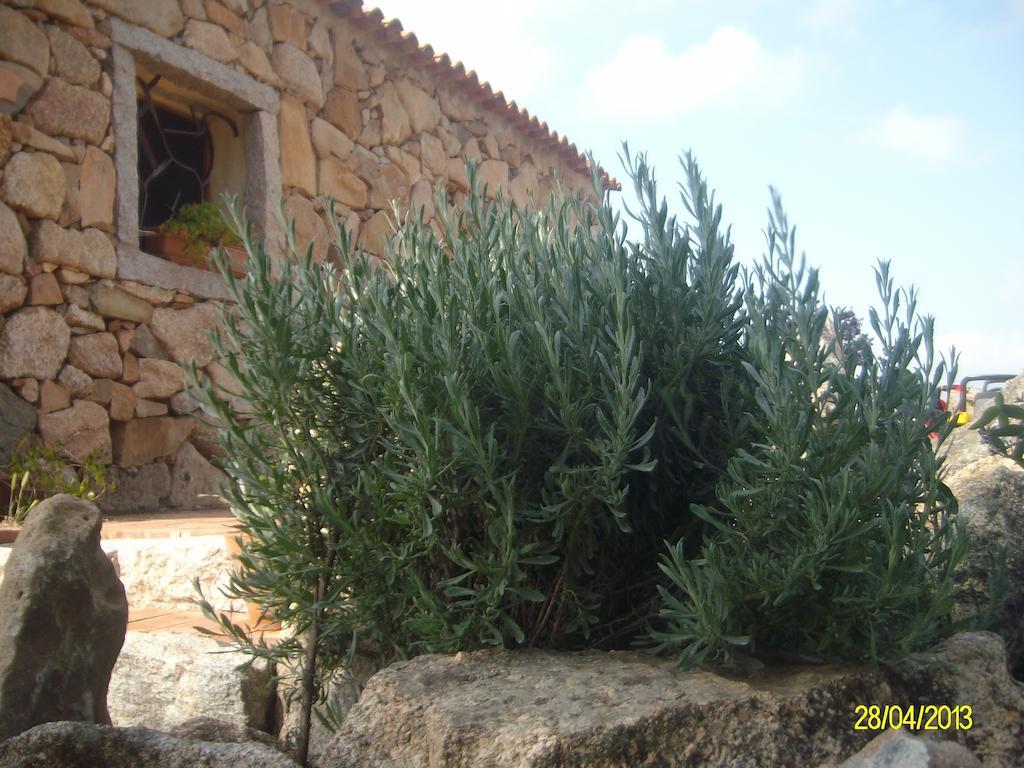 Agriturismo Spridda Bed and Breakfast Arzachena Buitenkant foto